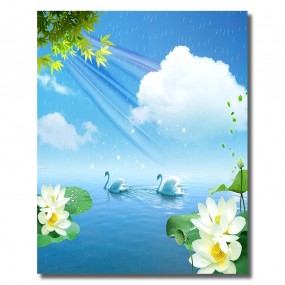 Tranh dán tường Đôi Chim Trắng